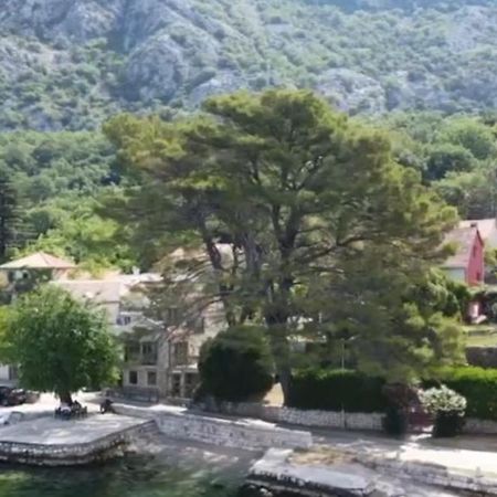 Apartment On The Shore Of The Bay Of Kotor With Free Wi-Fi Eksteriør billede