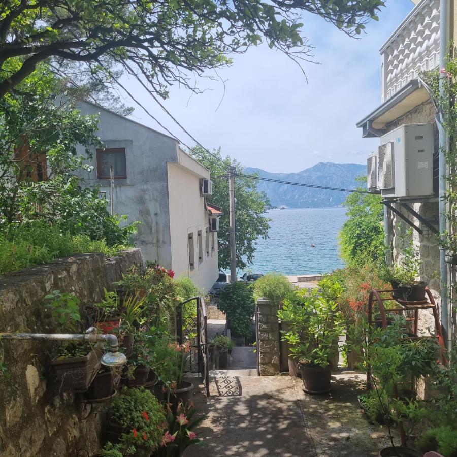 Apartment On The Shore Of The Bay Of Kotor With Free Wi-Fi Eksteriør billede